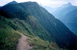 Trail going to Mt Thurston 2004-07.
