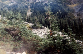 View from part way up the trail to Wedgemount 1998-09.