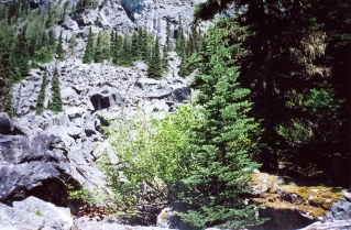 Slide beside the trail to Wedgemount 2000-07.